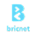 BRICLINKS AFRICA PLC